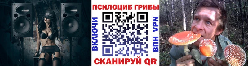 магазин продажи наркотиков сайты даркнета как зайти Псилоцибиновые грибы Cubensis Будённовск